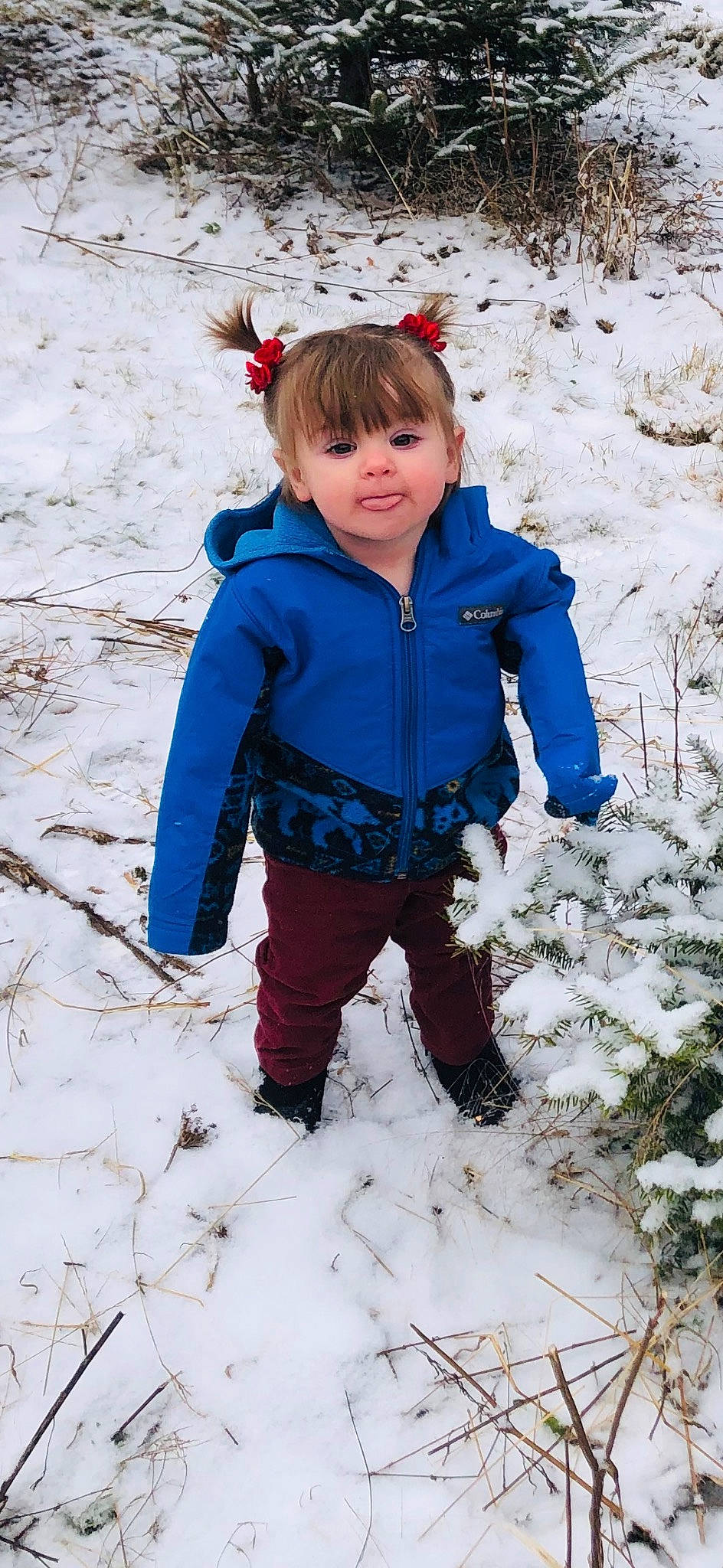 Brooklyn is registered to the contest to win money with this photo: baby_toddler_clothing, cheek, child, electric_blue, face, freezing, fun, happy, head, jacket, outerwear, people_in_nature, person, photograph, plant, playing_in_the_snow, recreation, smile, snow, toddler