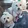 Chloe And Abby