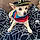 Benito