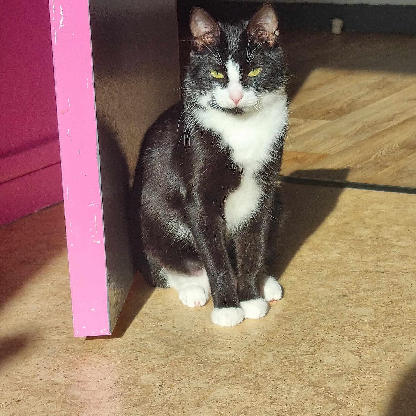 Kiki