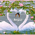 Maguy B.