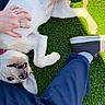 Scout is registered to the contest to win money with this photo: dog, grass, hand, rings, pants, shoe, sock, pet, playful, outdoor, sunlight, casual, happy, belly, scratching, animal, canine, relaxed, person, footwear