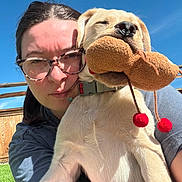 Scout joined the competition — help win amazing prizes! person, dog, puppy, toy, plush_toy, outdoor, sunny, glasses, blue_sky, grass, fence, collar, closeup, face, pet, cute, animal, playing, happy, daylight