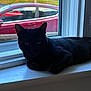 Pumpkin joined the competition — help win amazing prizes! black_cat, cat, window, windowsill, pet, animal, indoor, domestic_cat, feline, resting, shadow, car, red_car, glass, reflection, daylight, quiet, home, relaxing, fur