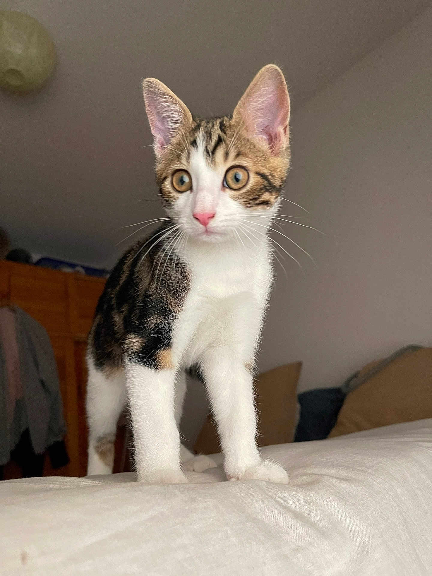 Marley