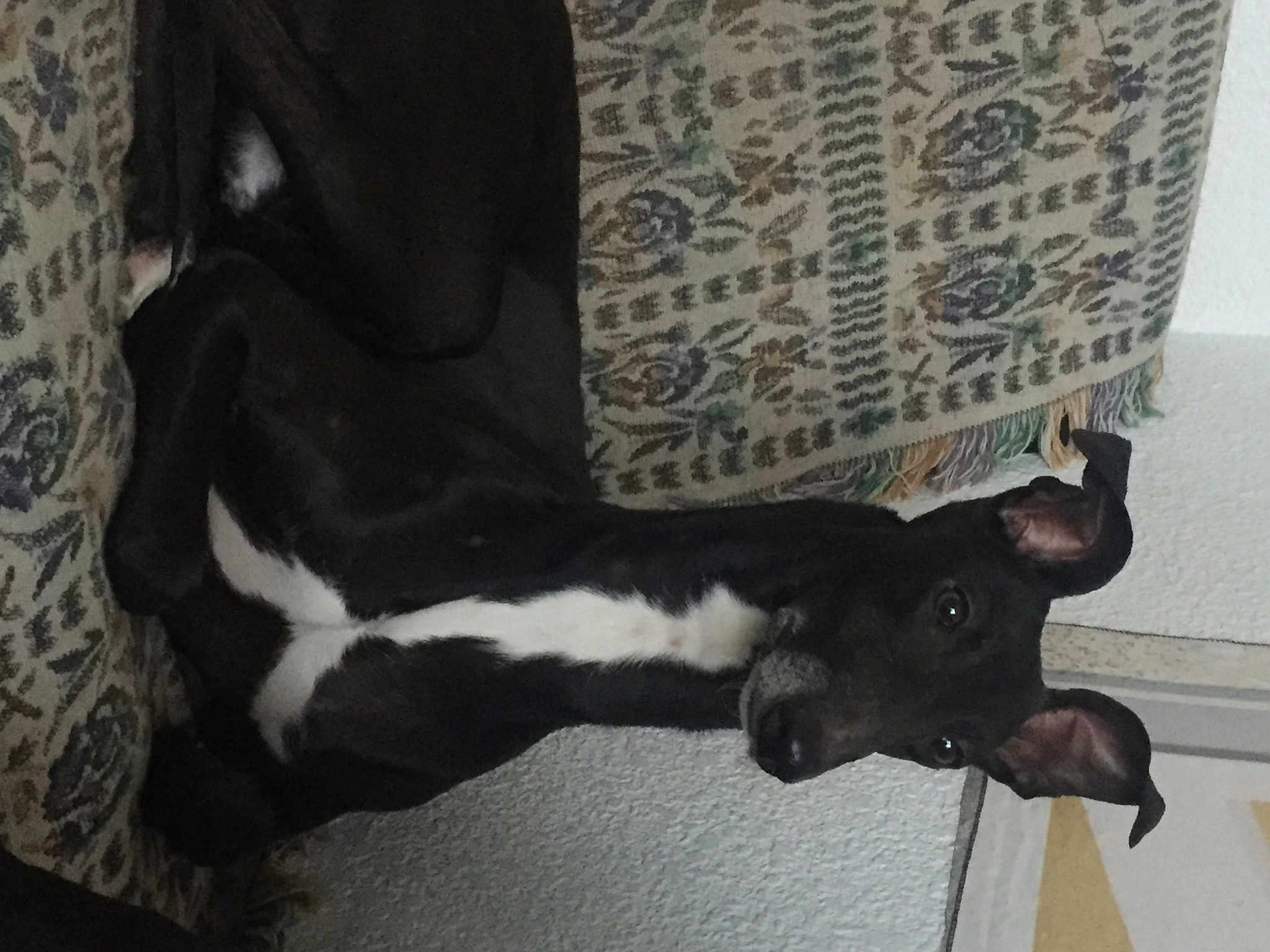 Onyx