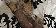 Cruiser is registered to the contest to win money with this photo: