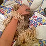 Cruiser is registered to the contest to win money with this photo: