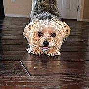 Cruiser is registered to the contest to win money with this photo: