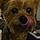 Mollie