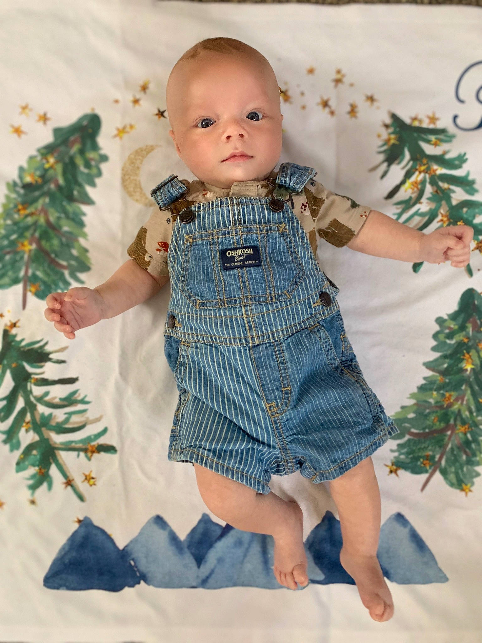 Parker is registered to the contest to win money with this photo: baby, baby_toddler_clothing, child, christmas_ornament, doll, dress, eye, leg, linens, ornament, outerwear, pattern, person, plant, sitting, sleeve, standing, t_shirt, textile, toddler