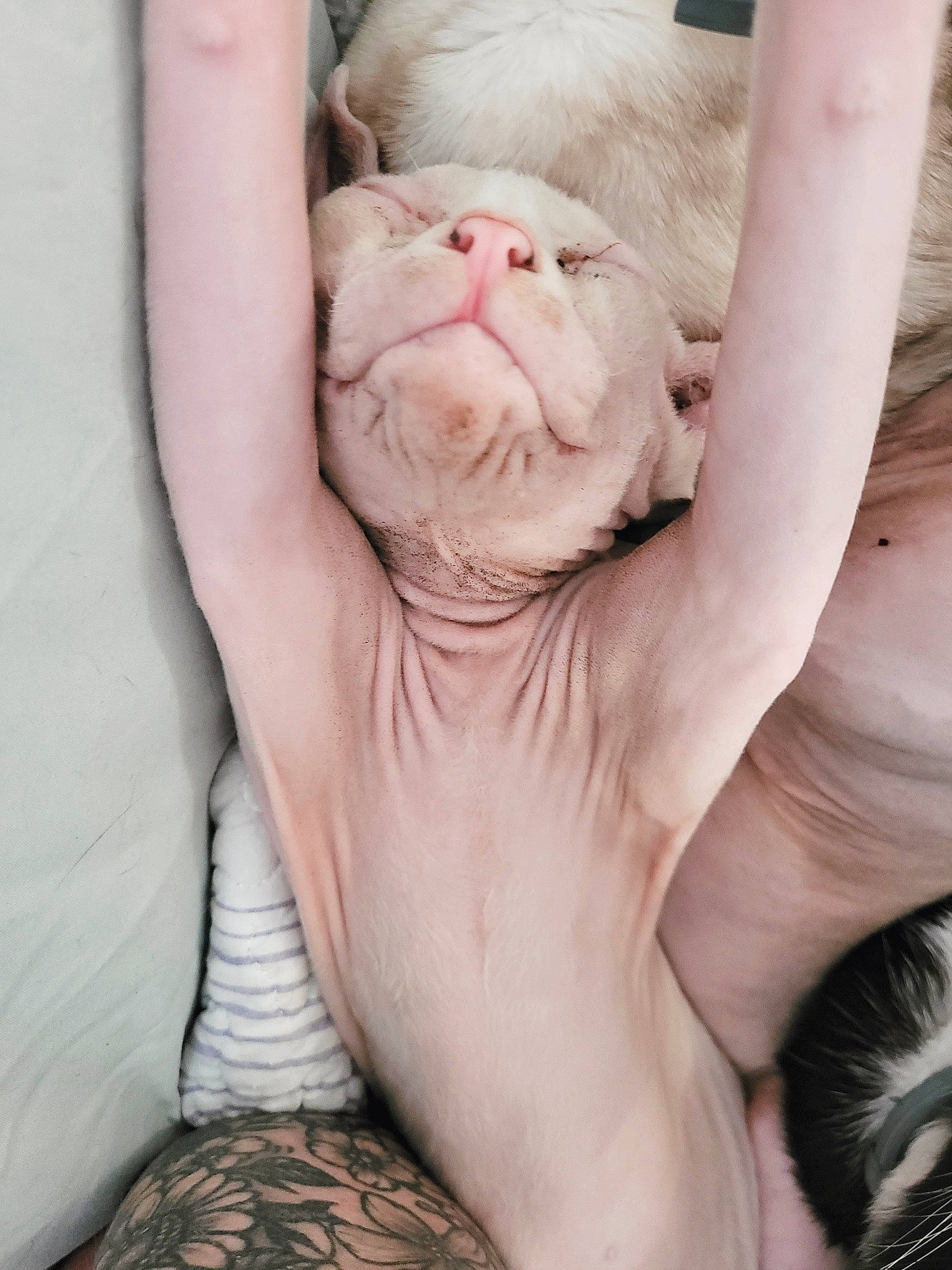 Xander is registered to the contest to win money with this photo: baby, barefoot, chest, comfort, dress, ear, finger, foot, gesture, hand, happy, human_body, human_leg, mouth, nail, nose, skin, thumb, wrinkle, wrist