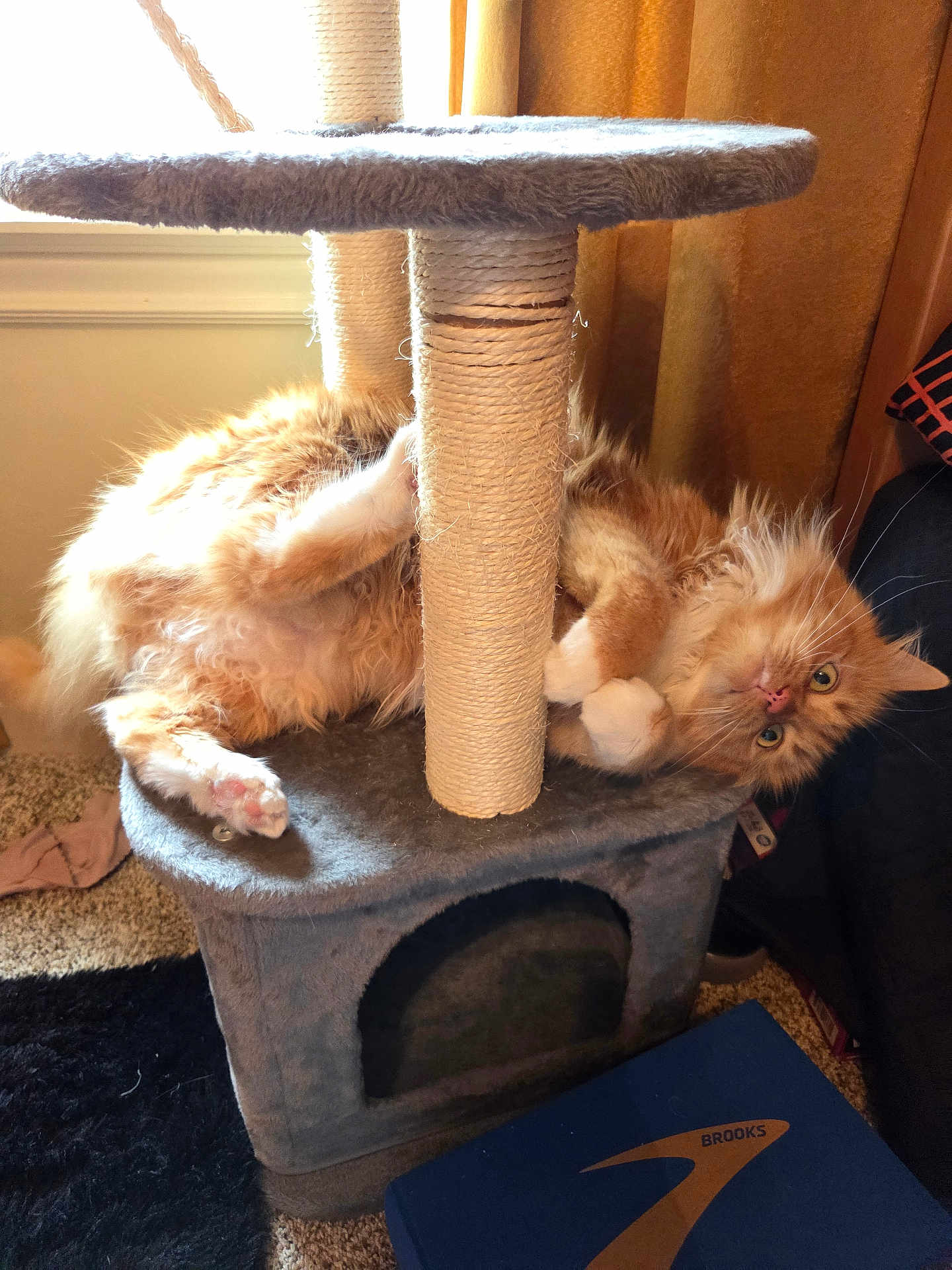 Milo