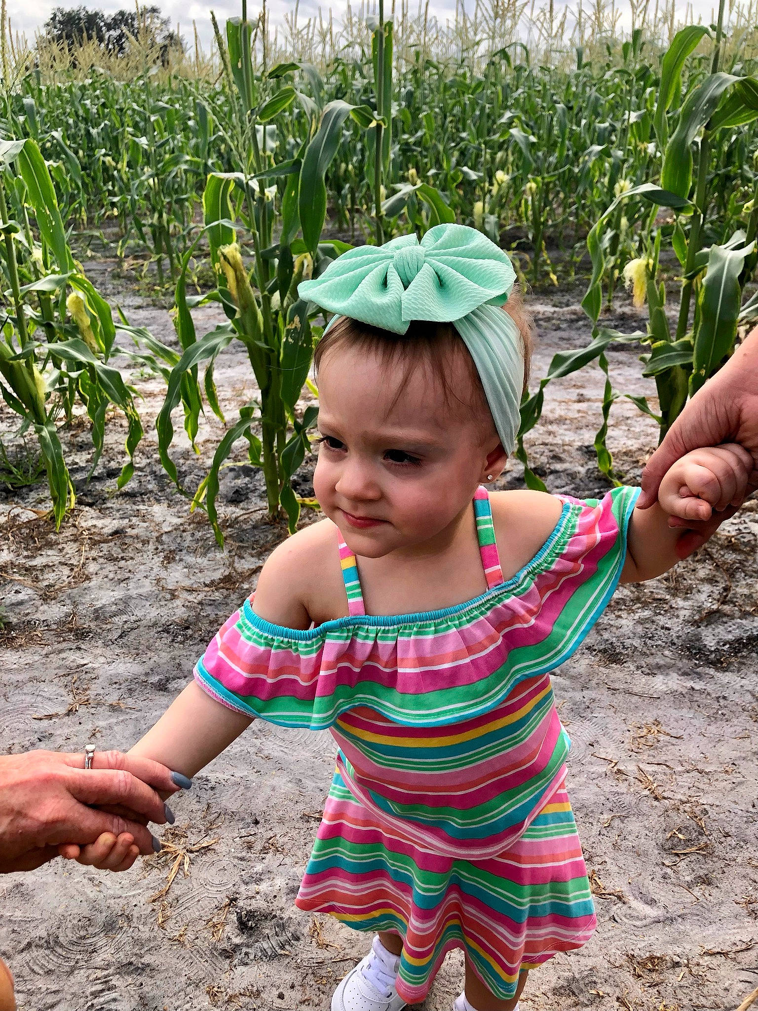 Camille is registered to the contest to win money with this photo: adaptation, agriculture, baby_toddler_clothing, botany, child, field, flowering_plant, grass, grass_family, green, leaf, people, people_in_nature, person, plant, plantation, rural_area, sleeve, soil, terrestrial_plant
