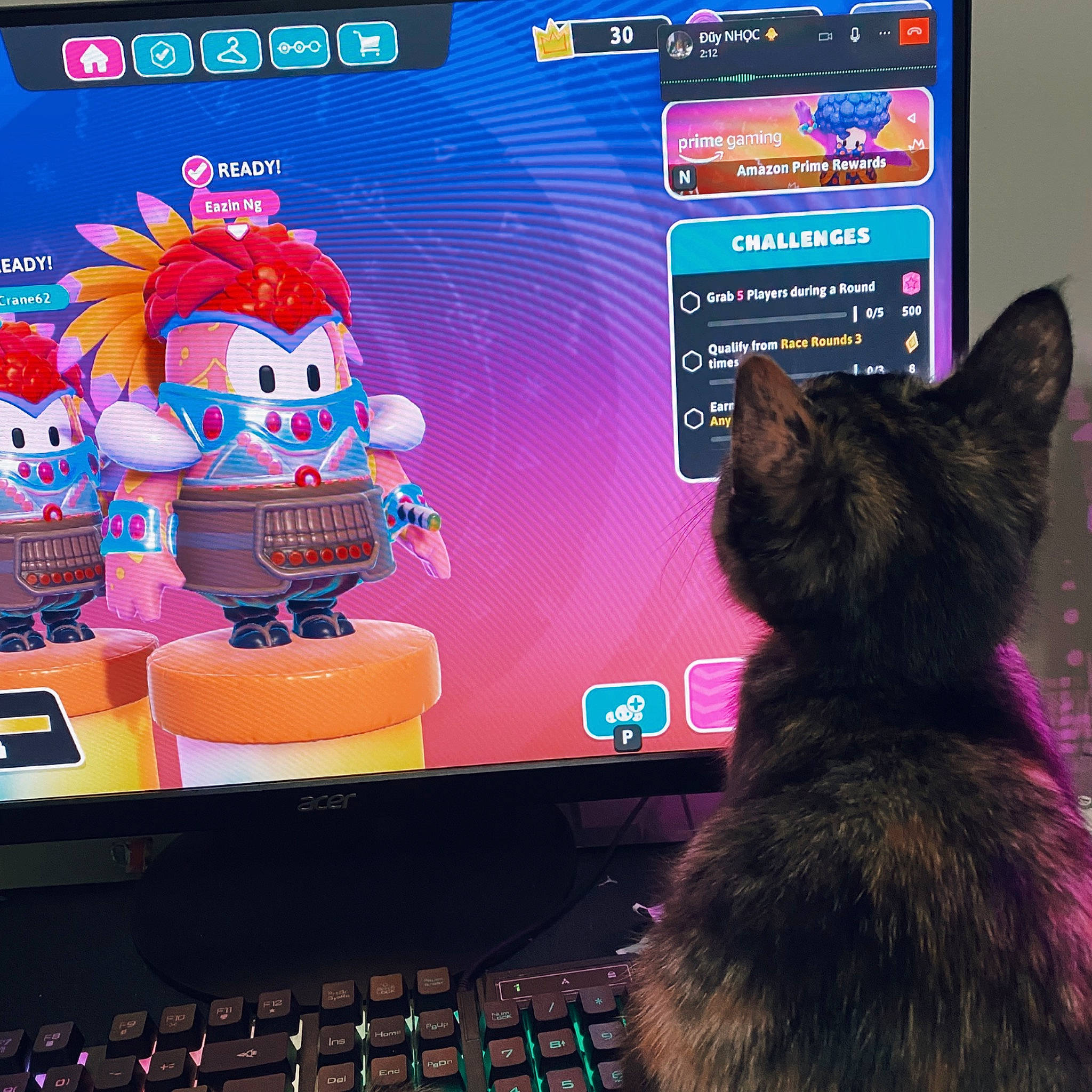 Jingle is registered to the contest to win money with this photo: carnivore, cat, computer, computer_keyboard, desktop_computer, display_device, electronic_device, flat_panel_display, font, gadget, input_device, light, mammal, multimedia, netbook, output_device, peripheral, personal_computer, space_bar, technology