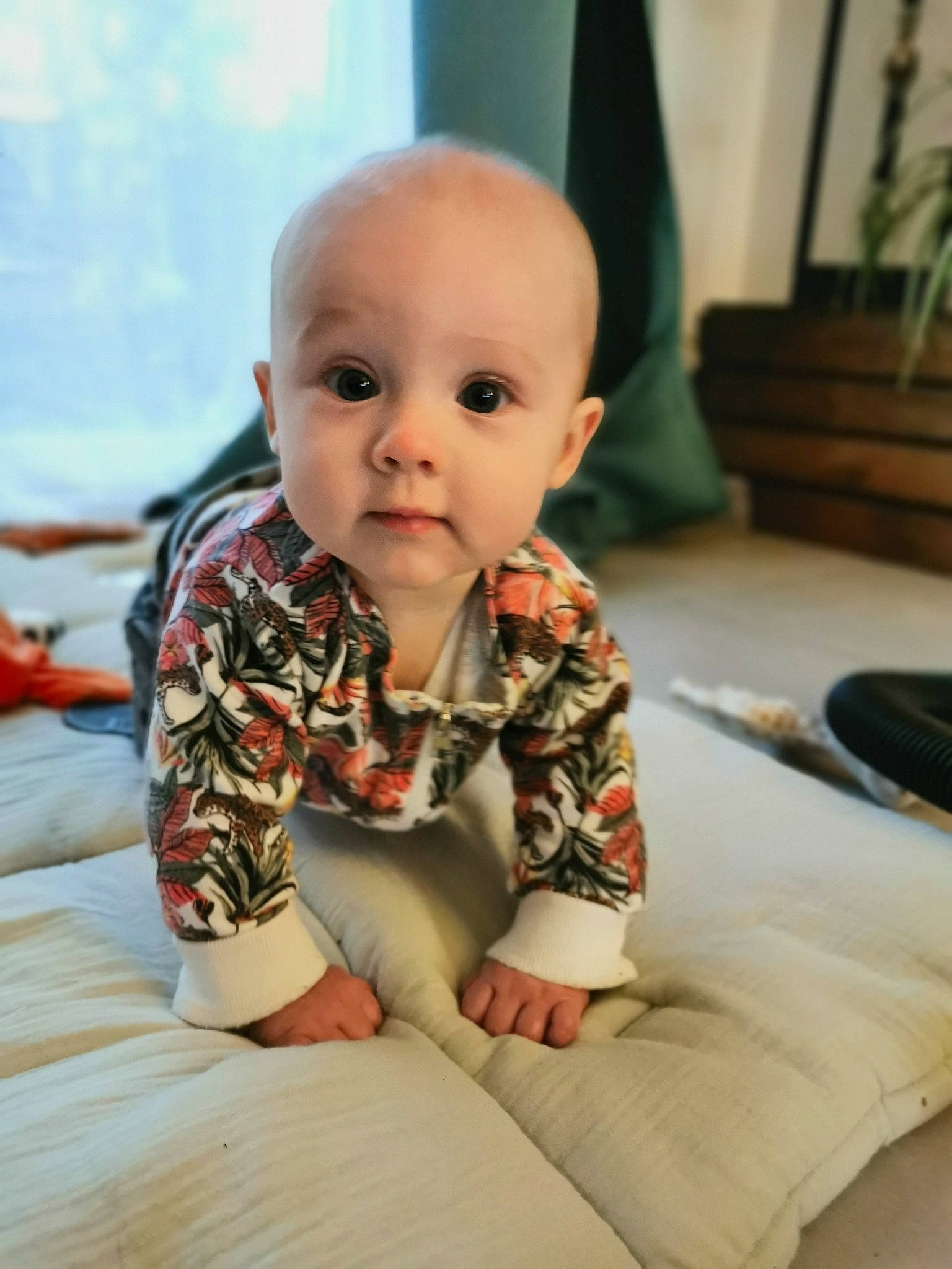 Anaé a rejoint le concours — aidez-le/la à gagner de superbes lots ! baby, baby_toddler_clothing, cheek, child, collar, comfort, curtain, eye, floor, flooring, flowerpot, houseplant, iris, pattern, person, plant, sitting, skin, sleeve, toddler