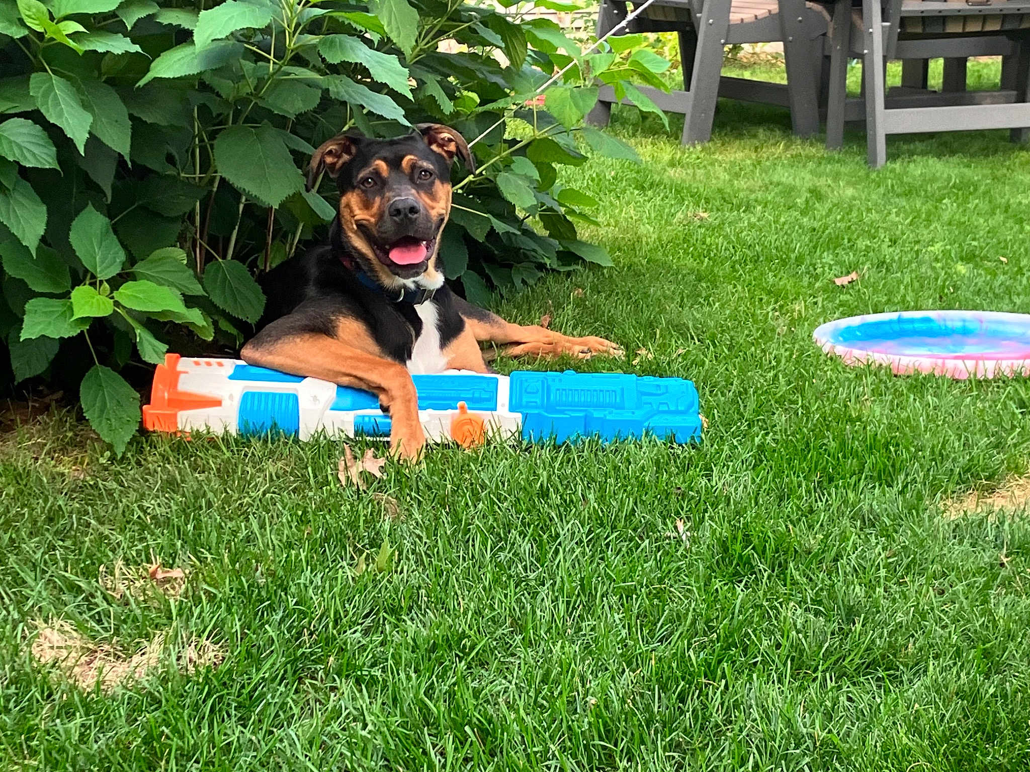 Ripley