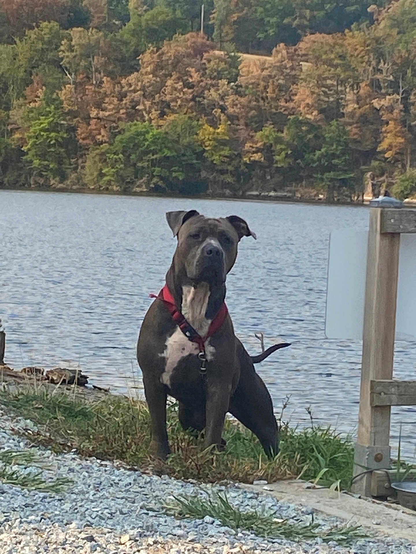 Sayko