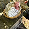 baby, basket, blanket, camera, cozy, face, head, infant, knitted, nature, newborn, outdoor, peaceful, photography, portrait, rustic, sleeping, sunlight, swaddled, wooden_chair