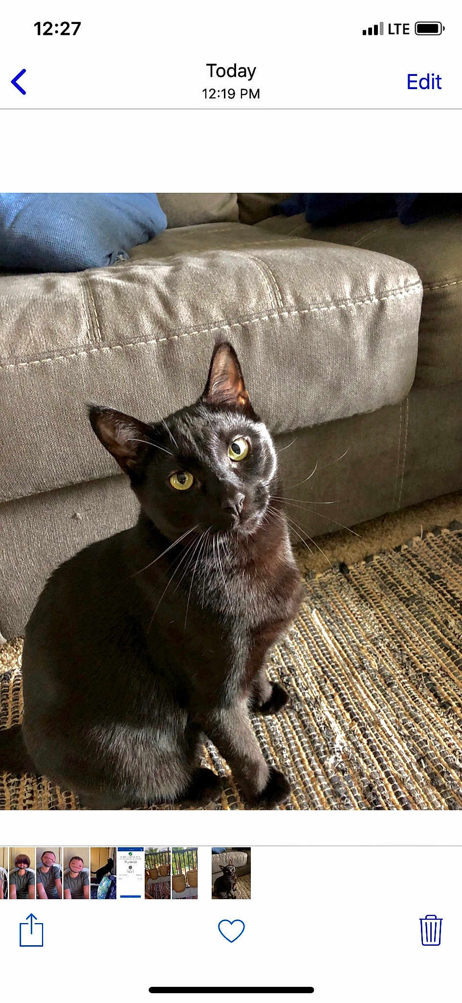 Binx