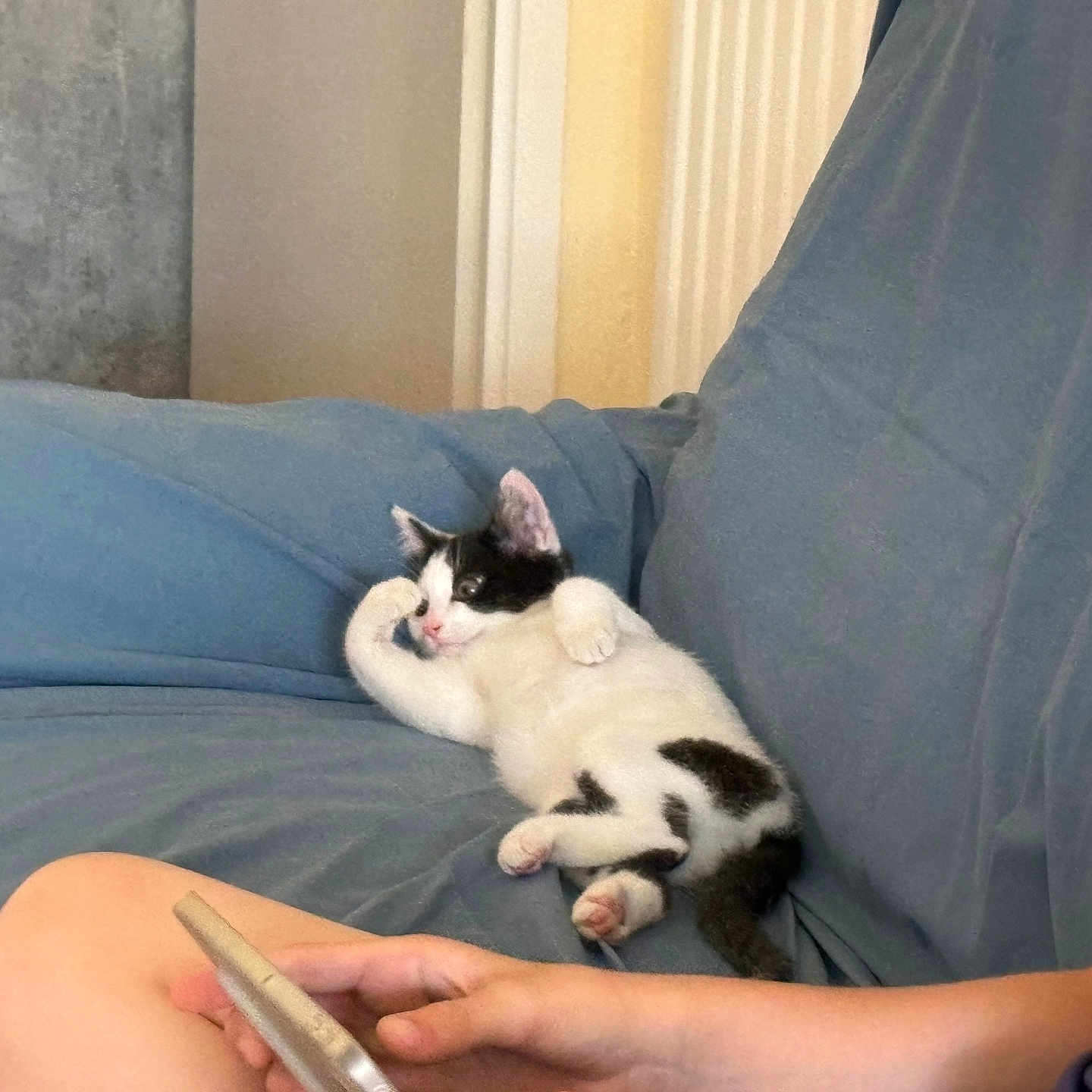Bijou