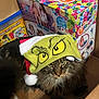 cat, grinch_hat, santa_hat, cardboard_box, toy_box, fluffy_cat, tabby_cat, holiday, christmas, festive, indoor, pet, animal, feline, whiskers, cute, holiday_hat, unimpressed, brown_cat, white_paws