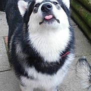 Tikera is registered to the contest to win money with this photo: