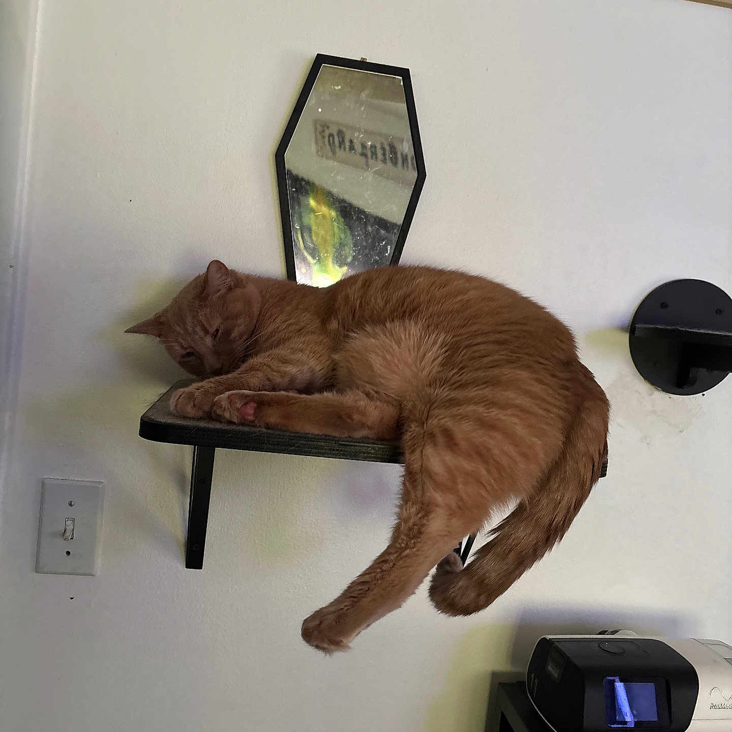 Oliver