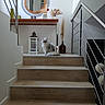 cat, fluffy_cat, longhair_cat, pet, animal, sitting, staircase, stairs, indoor, home, interior, modern_decor, mirror, railing, wooden_steps, lantern, vase, dried_flowers, white_and_gray, portrait