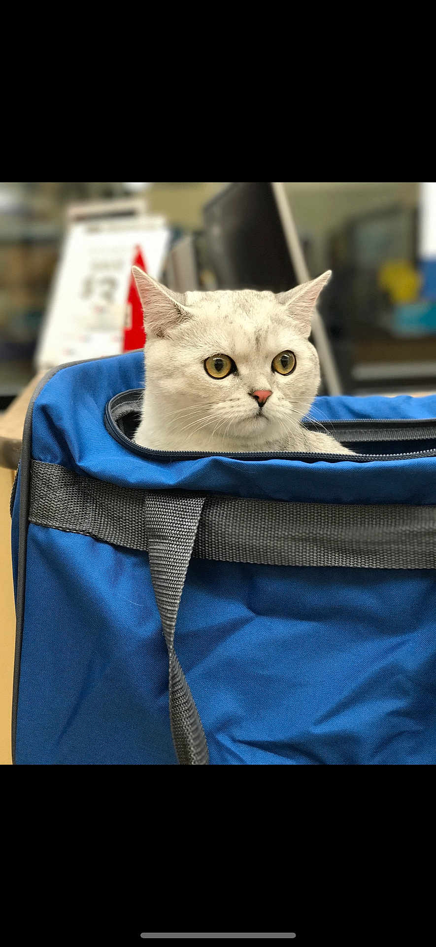 Milo