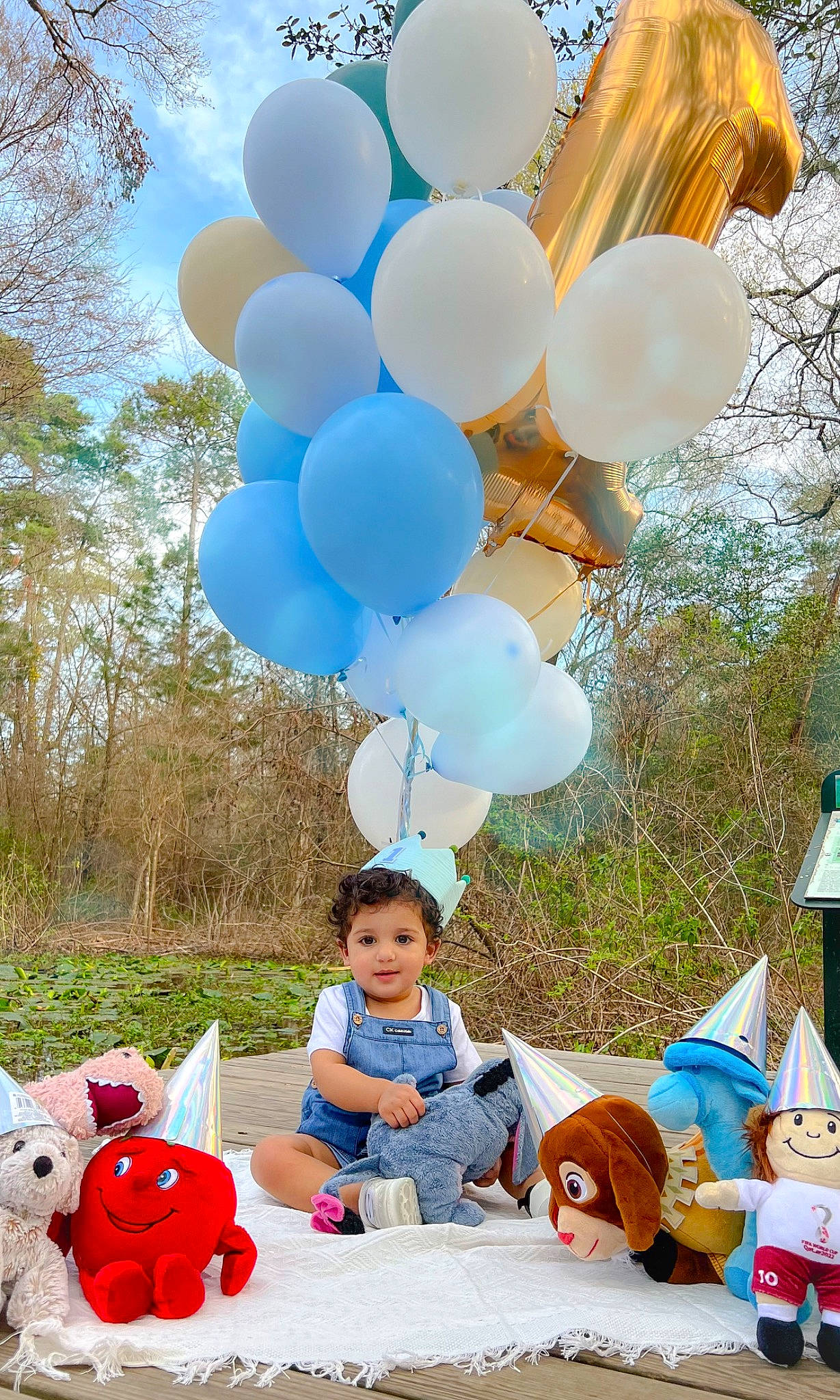 Shahab is registered to the contest to win money with this photo: balloon, blue, daytime, event, fun, green, happy, joy, leisure, light, nature, party_supply, person, photograph, plant, recreation, sky, snapshot, summer, tree