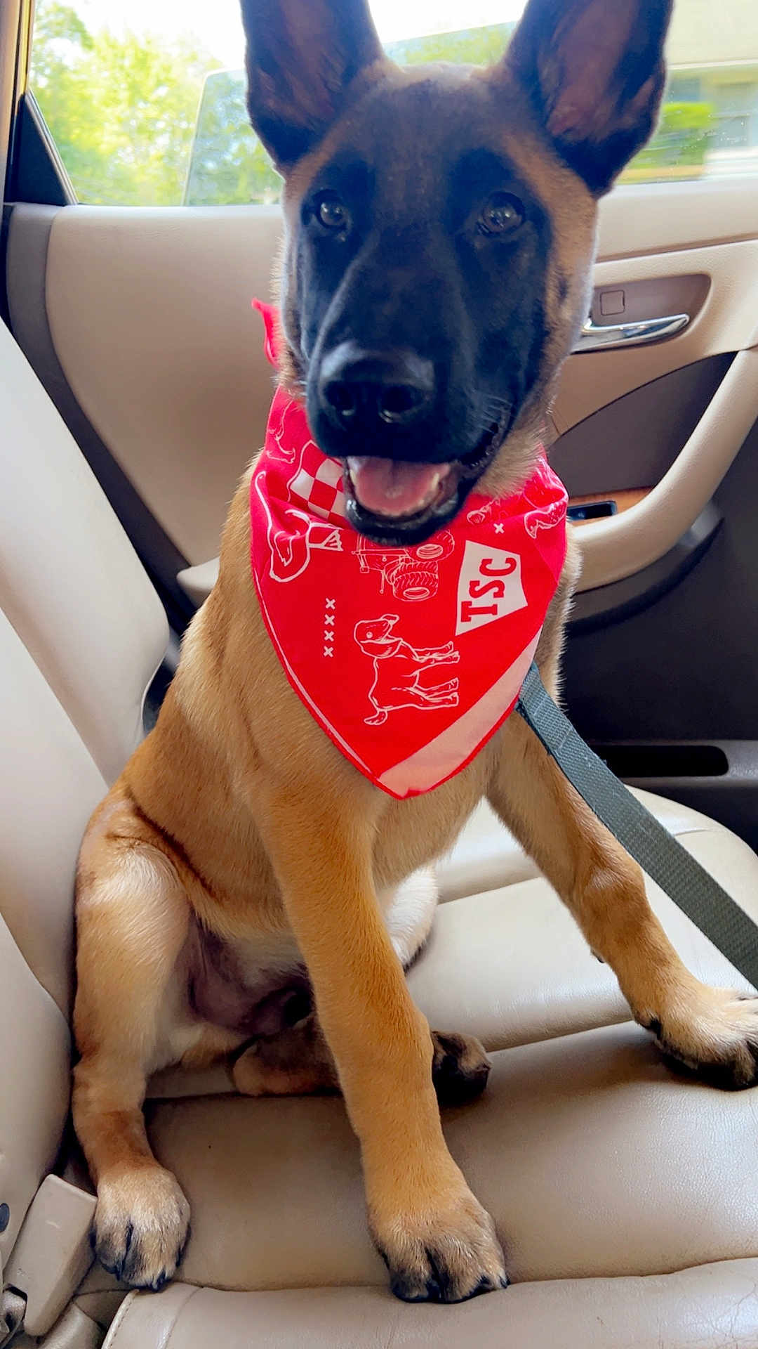 Apollo