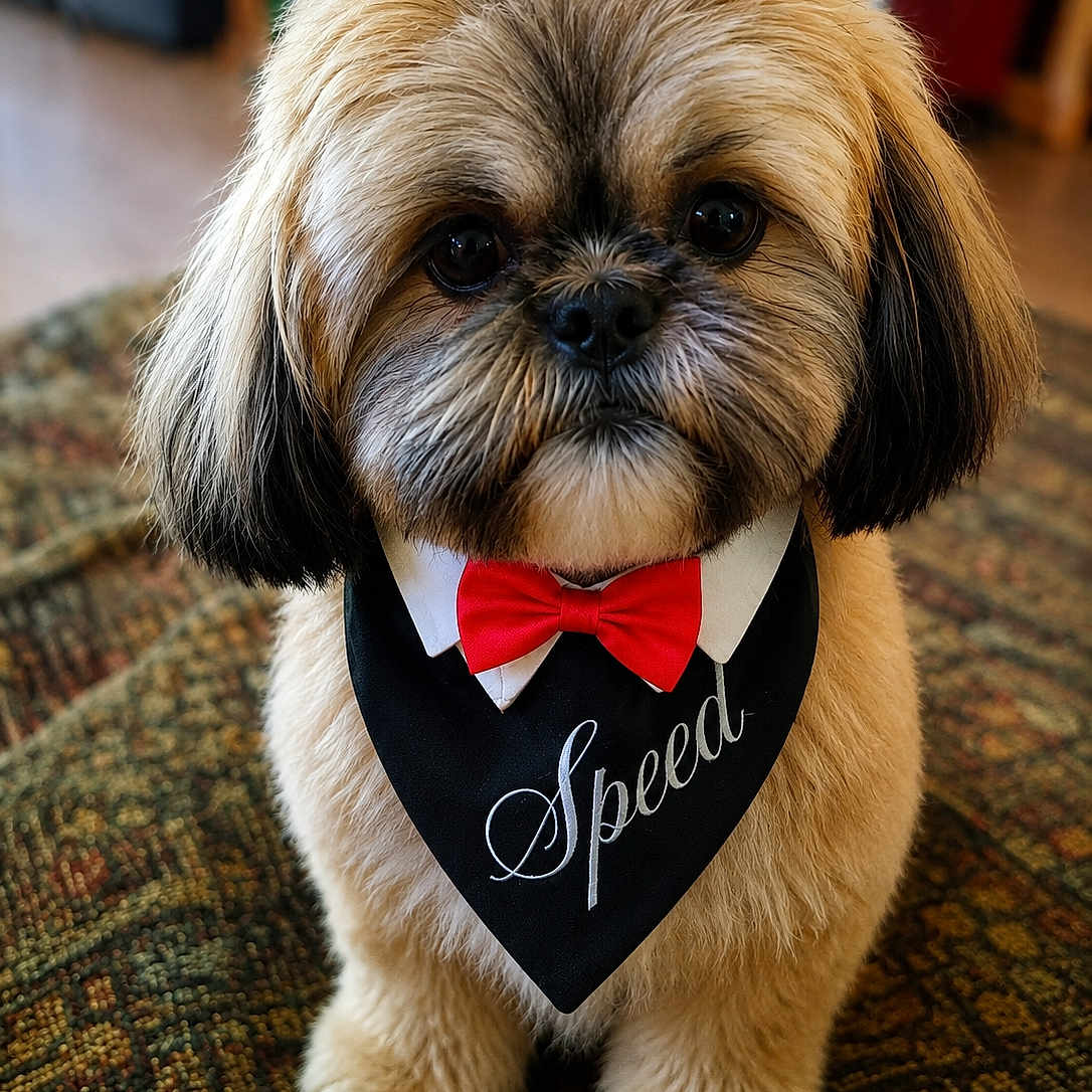 Saphir
