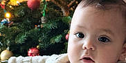 Paolo participe au concours pour gagner de l'argent avec cette photo : baby, infant, child, christmas_tree, tree, ornament, christmas_lights, laptop, sweater, closeup, face, hand, plush_toy, teddy_bear, holiday, festive, indoor, cozy, portrait, curious