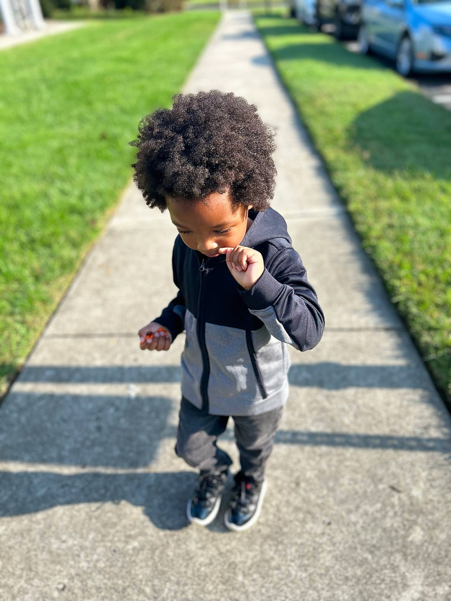 Jerry Jr is registered to the contest to win money with this photo: asphalt, child, flooring, fun, grass, leisure, outerwear, pattern, people_in_nature, person, plant, recreation, road, road_surface, sidewalk, spring, standing, street, toddler, tree