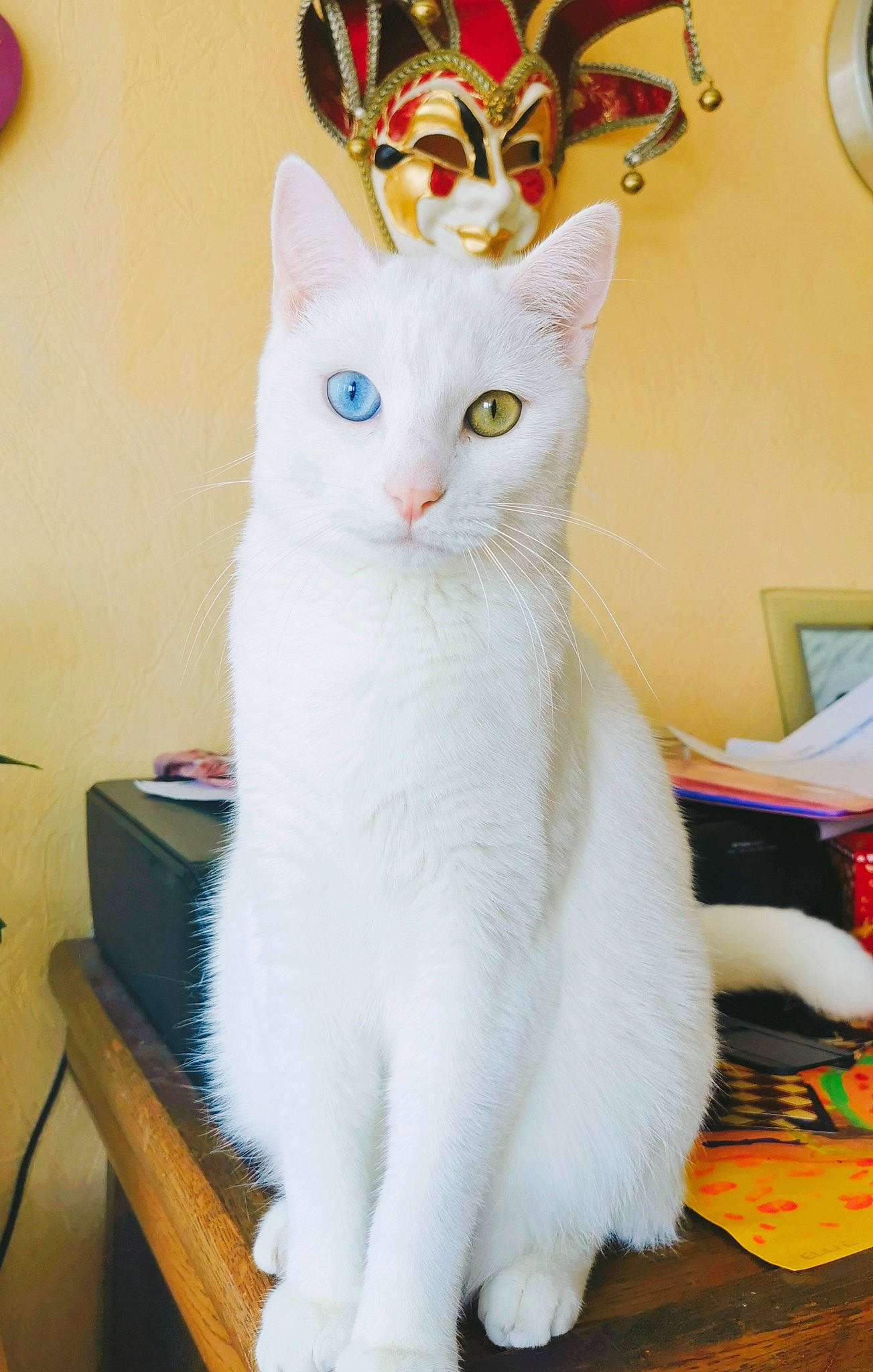 Kawaï