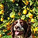Leroy