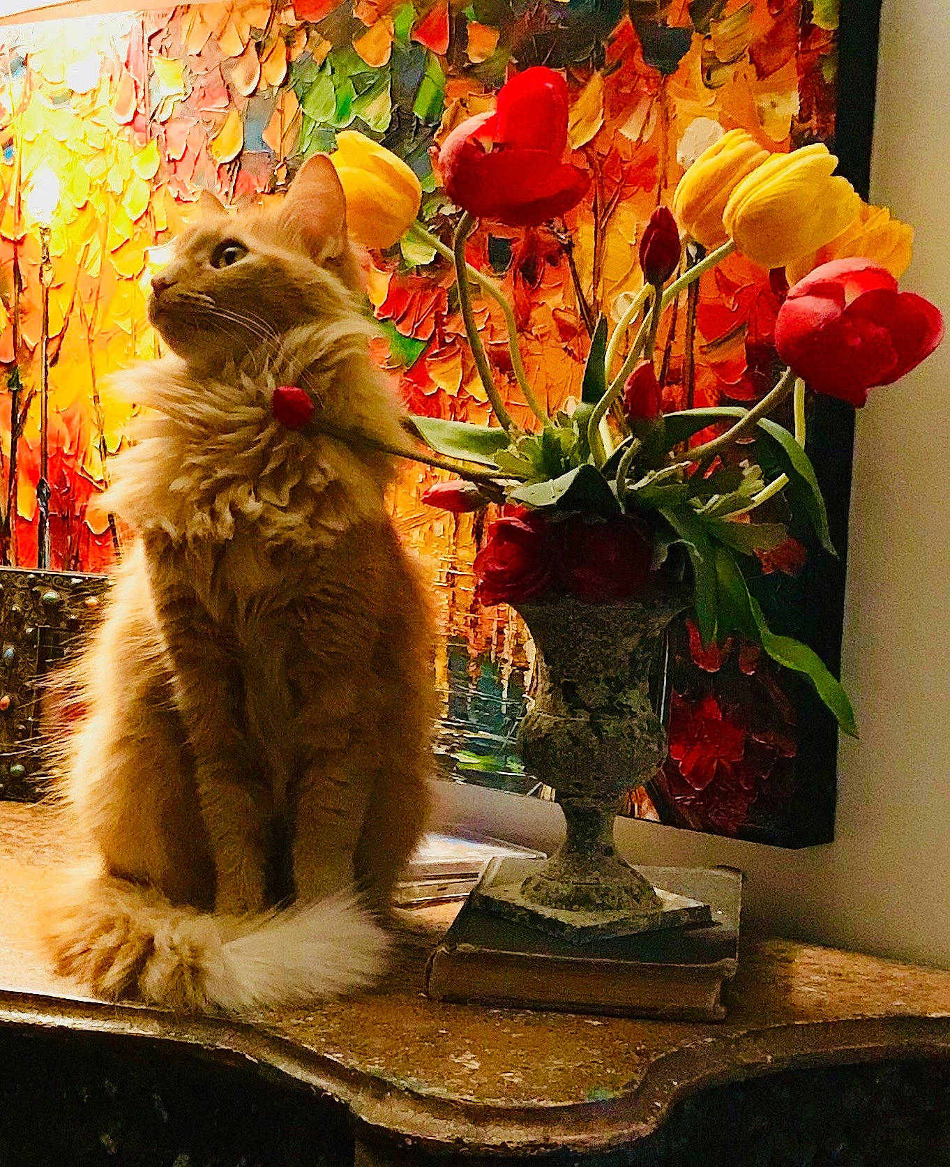 Momo joined the competition — help win amazing prizes! artifact, bouquet, carnivore, cat, cut_flowers, fawn, felidae, flower, flower_arranging, flowerpot, houseplant, orange, petal, plant, rose, small_to_medium_sized_cats, tail, vase, whiskers, window