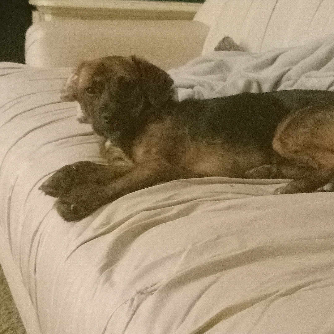 Mika