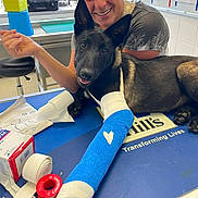 Arka participe au concours pour gagner de l'argent avec cette photo : dog, cast, bandage, veterinary_clinic, medical_supplies, woman, smiling, animal_care, pet, table, blue_cast, heart_symbol, injury, healing, happy_dog, indoor, clinic, human, affection, comfort
