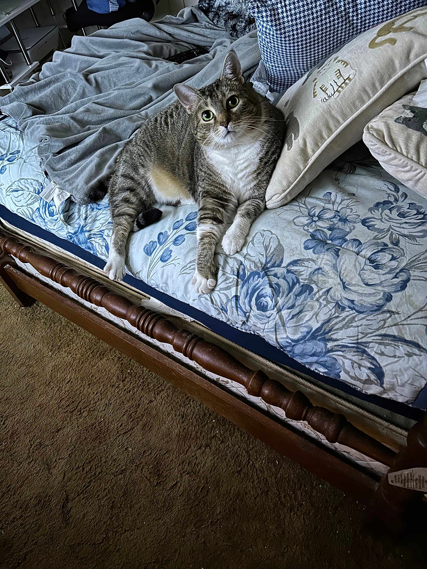Tigger