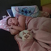 Kim is registered to the contest to win money with this photo: animal, baby, bed, bedroom, blanket, cat, cushion, face, furniture, head, homedecor, indoors, kitten, person, pet, photography, pillow, portrait, room, sleeping