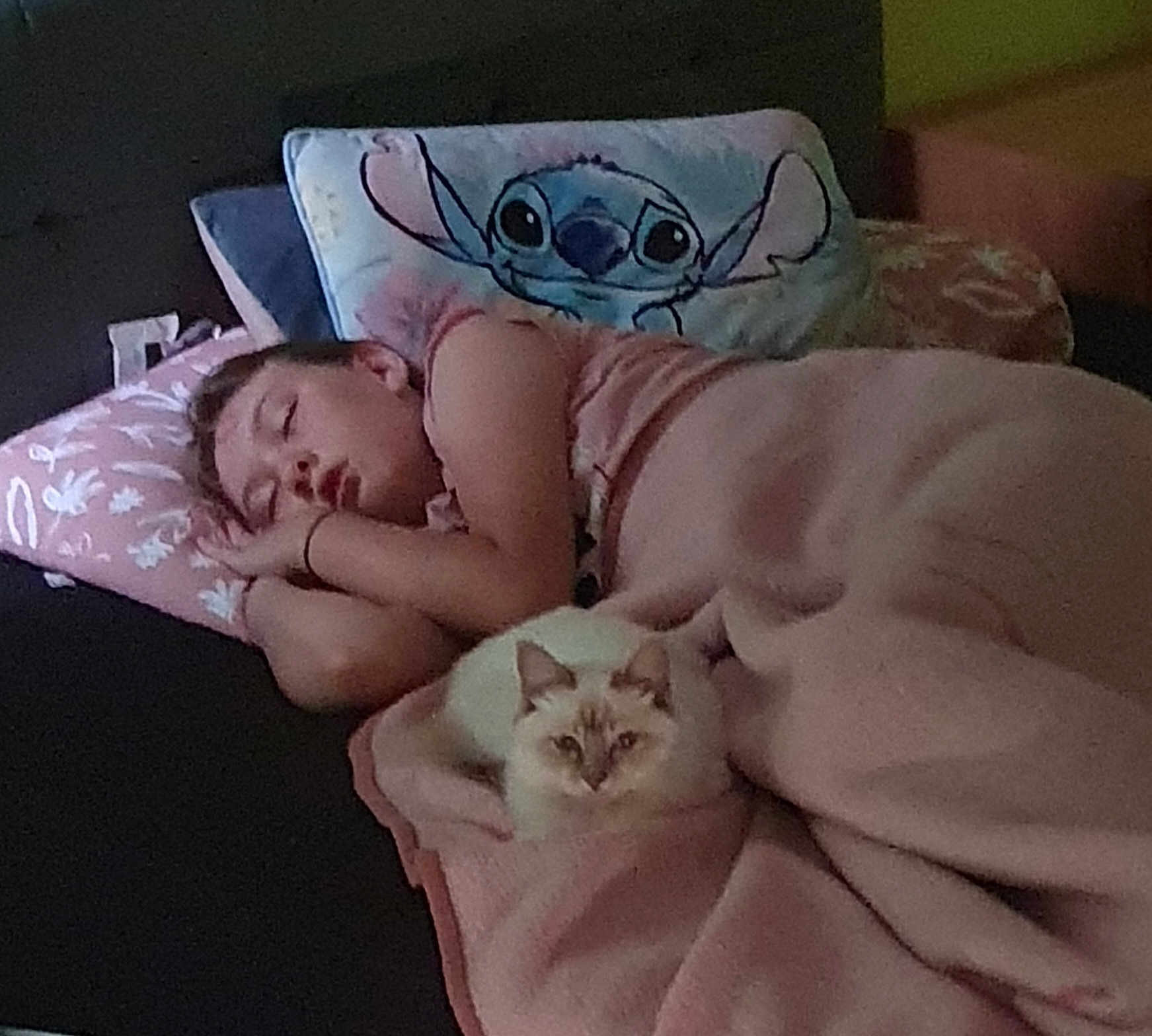 Kim is registered to the contest to win money with this photo: animal, baby, bed, bedroom, blanket, cat, cushion, face, furniture, head, homedecor, indoors, kitten, person, pet, photography, pillow, portrait, room, sleeping