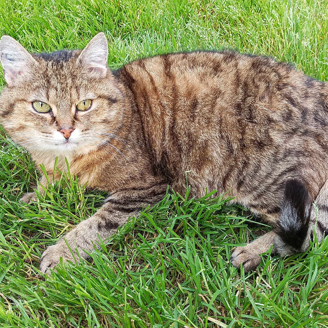 Mimie