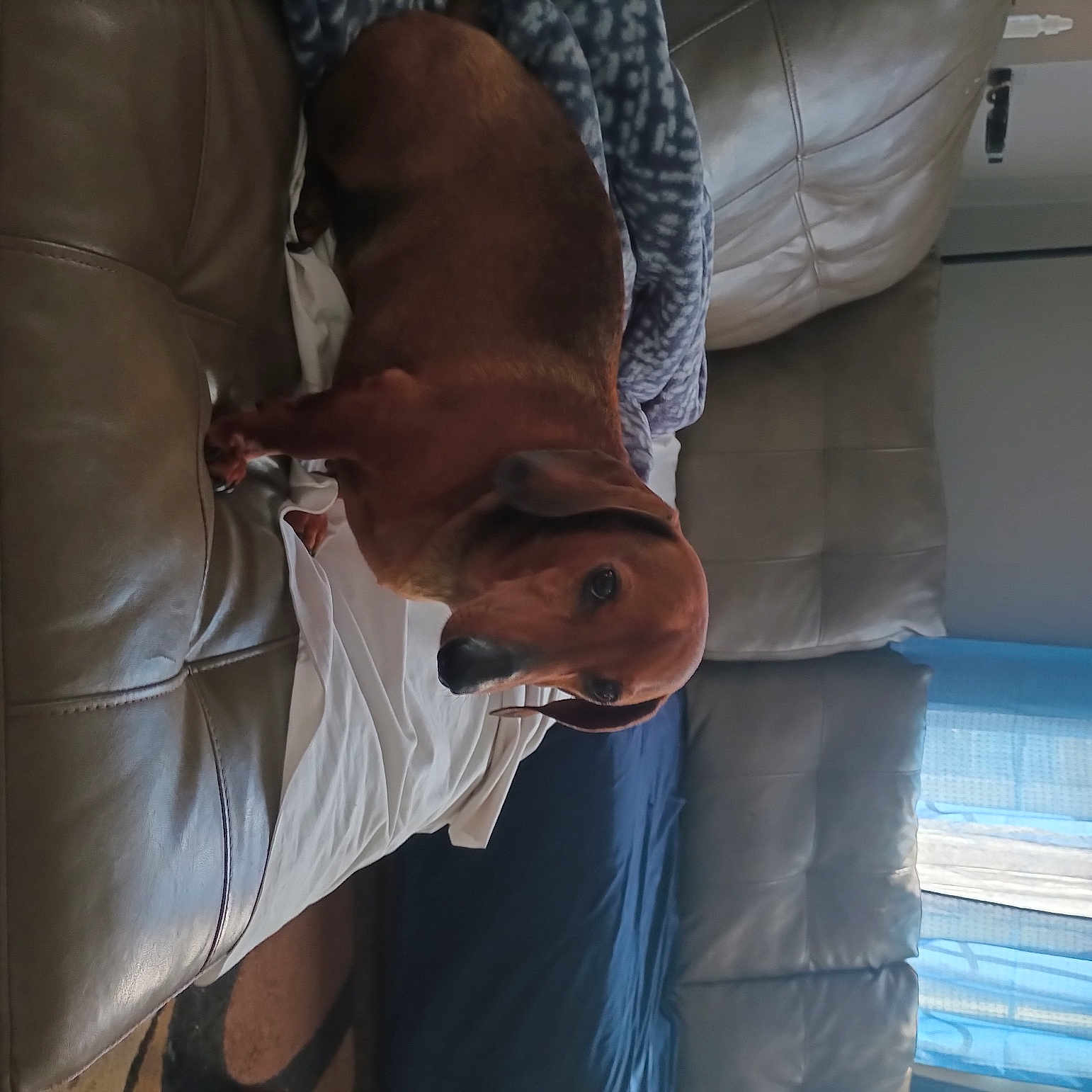 Buddy is registered to the contest to win money with this photo: auto_part, chest, comfort, dress_shirt, elbow, human_body, human_leg, knee, sculpture, sitting, sleeve, wood, wrinkle, wrist