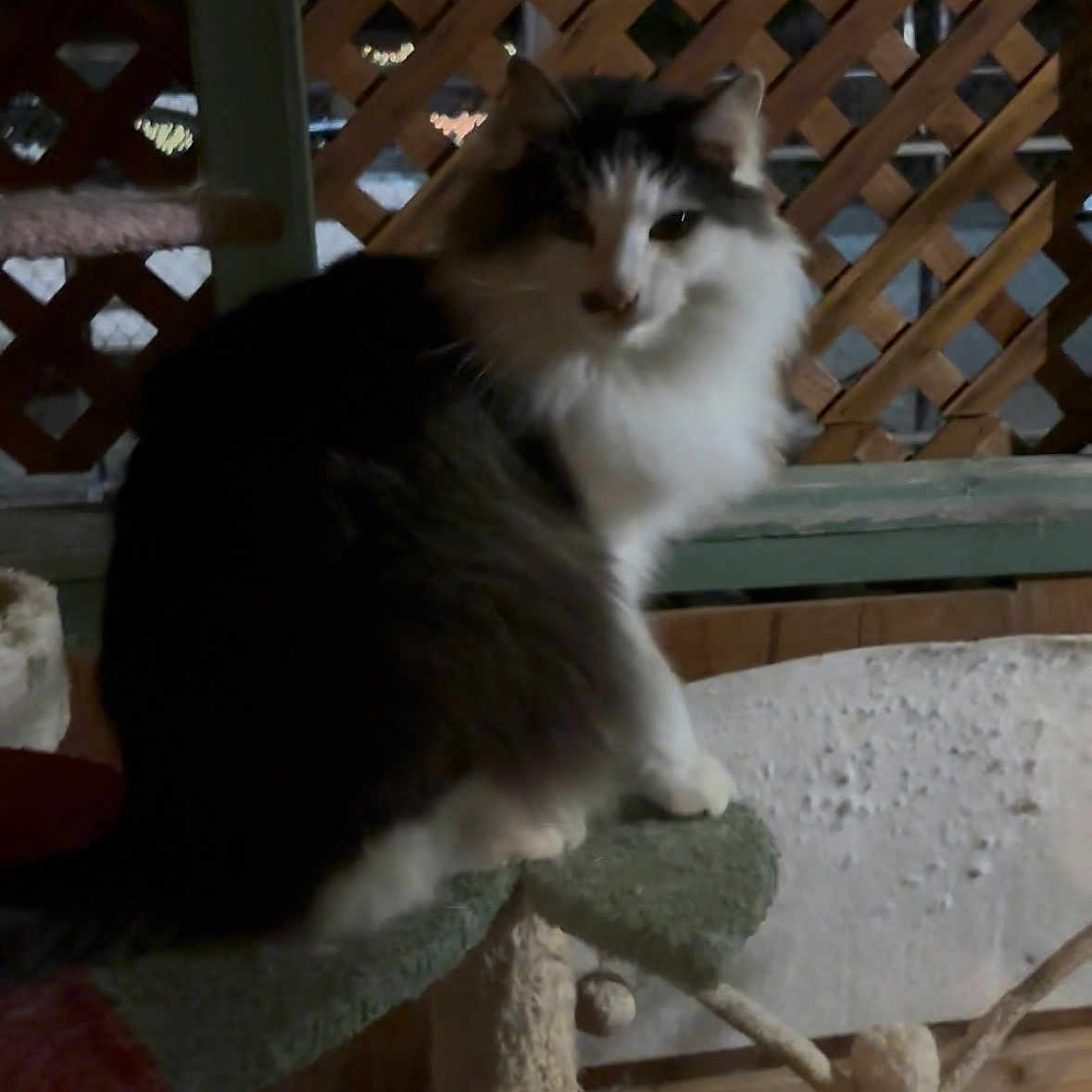 Hubert