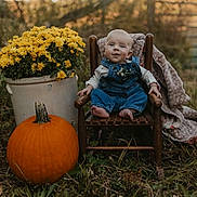 Russell joined the competition — help win amazing prizes! baby, child, infant, smiling, seated, chair, wooden_chair, pumpkin, flowers, flower_pot, autumn, outdoor, garden, blanket, overalls, denim, portrait, nature, rustic, fall_decor