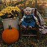 baby, child, infant, smiling, seated, chair, wooden_chair, pumpkin, flowers, flower_pot, autumn, outdoor, garden, blanket, overalls, denim, portrait, nature, rustic, fall_decor