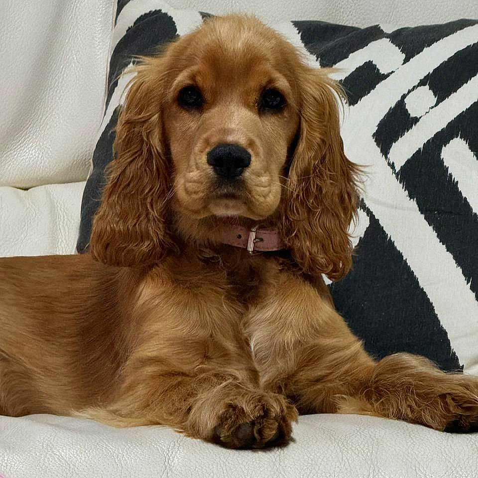 Ruby