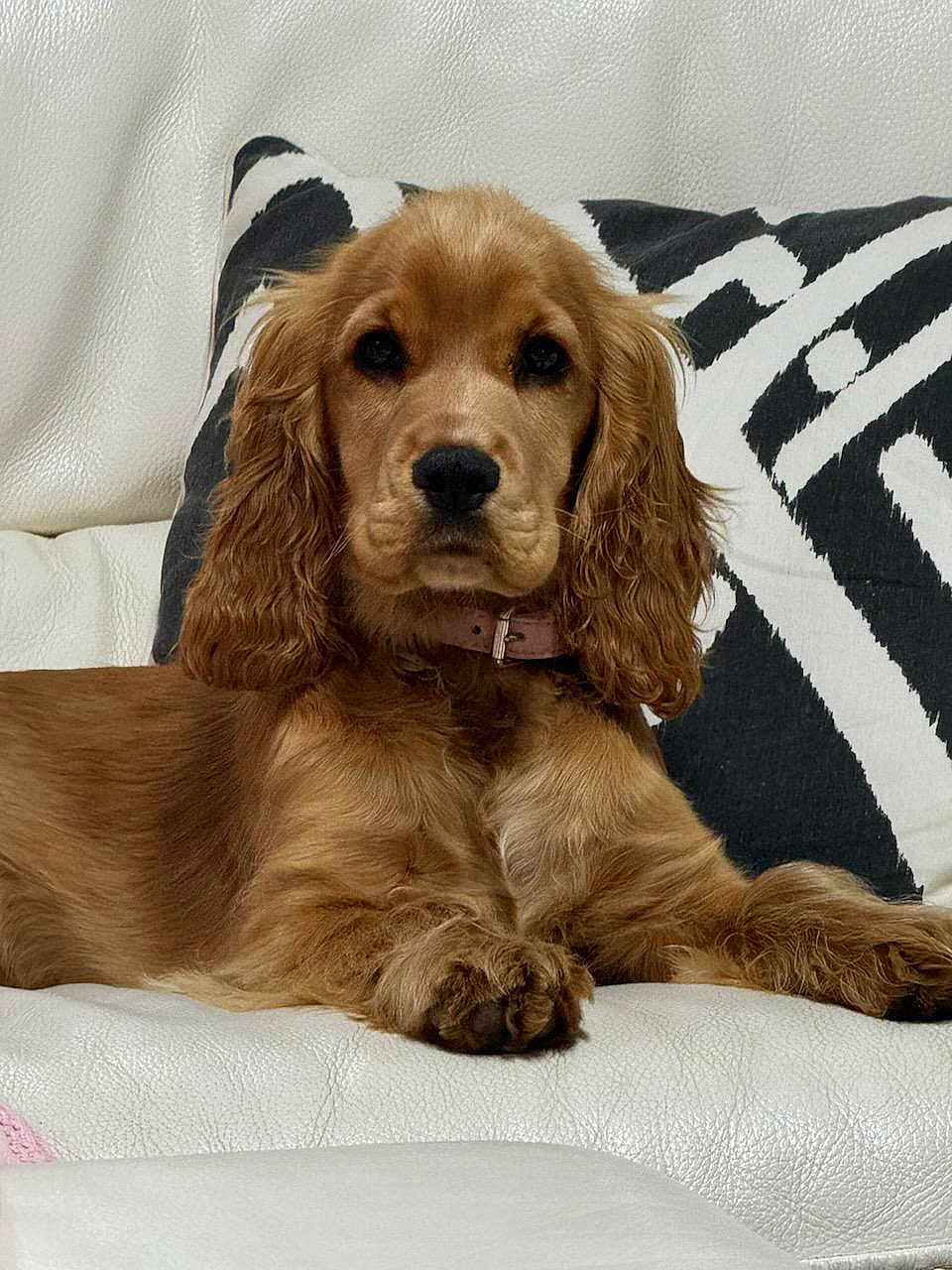 Ruby
